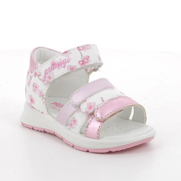 202611365411 1 eredmény